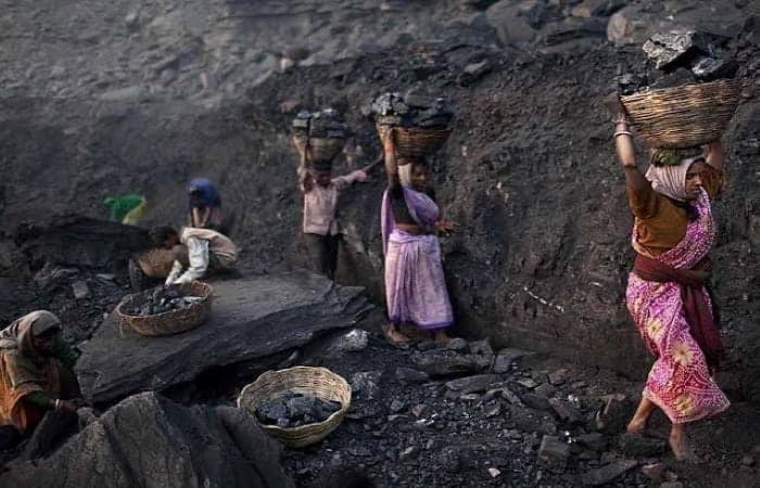 Unsafe bet: India’s auction of 41 coals mines has worried experts because several are located in forest areas | Photo: Business Insider