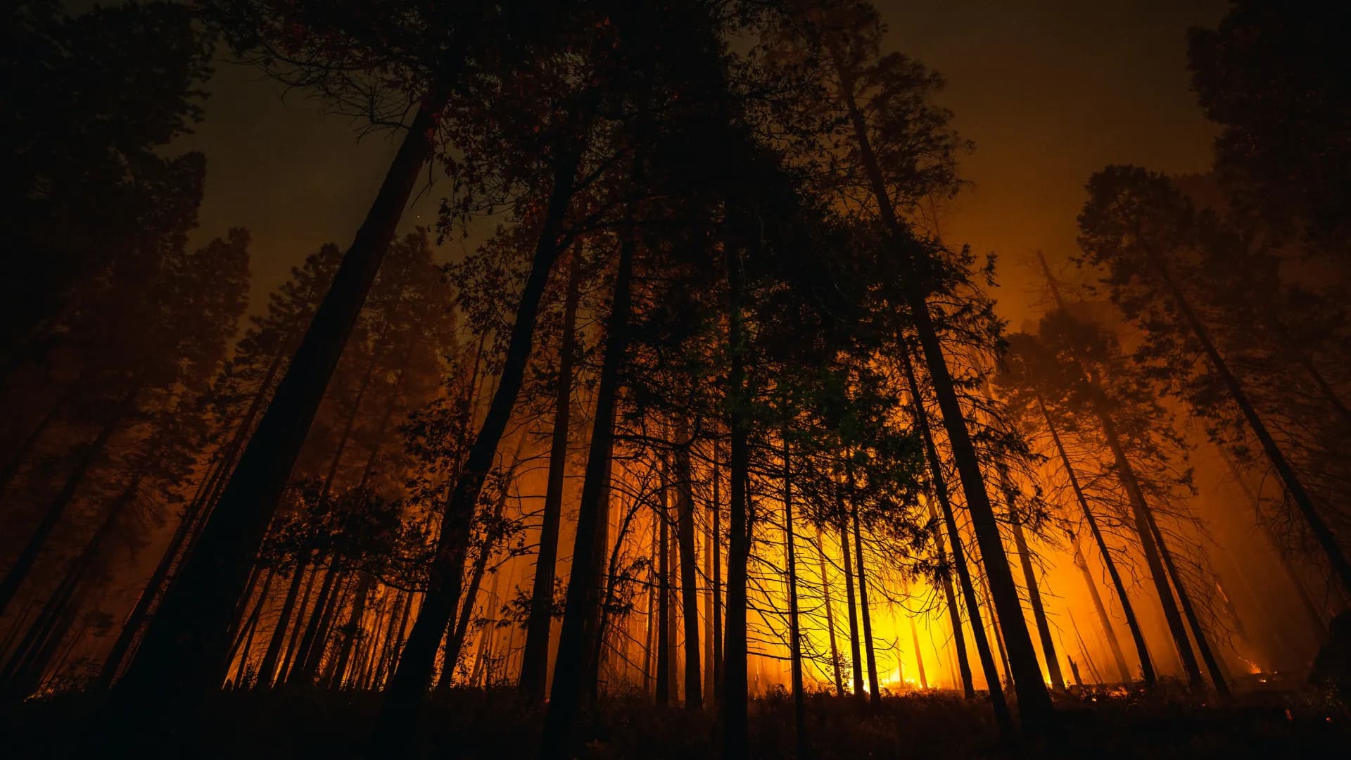 Top 10 climate disasters in 2025 cost a combined $122 billion in damages