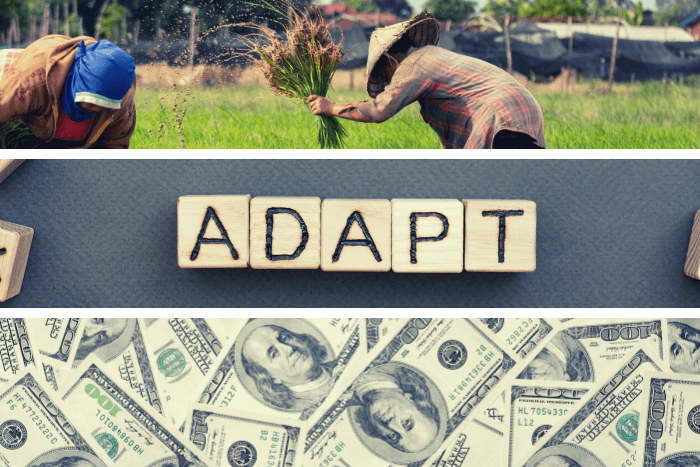 Climate Adaptation: We need novel solutions to protect our safety net for the future