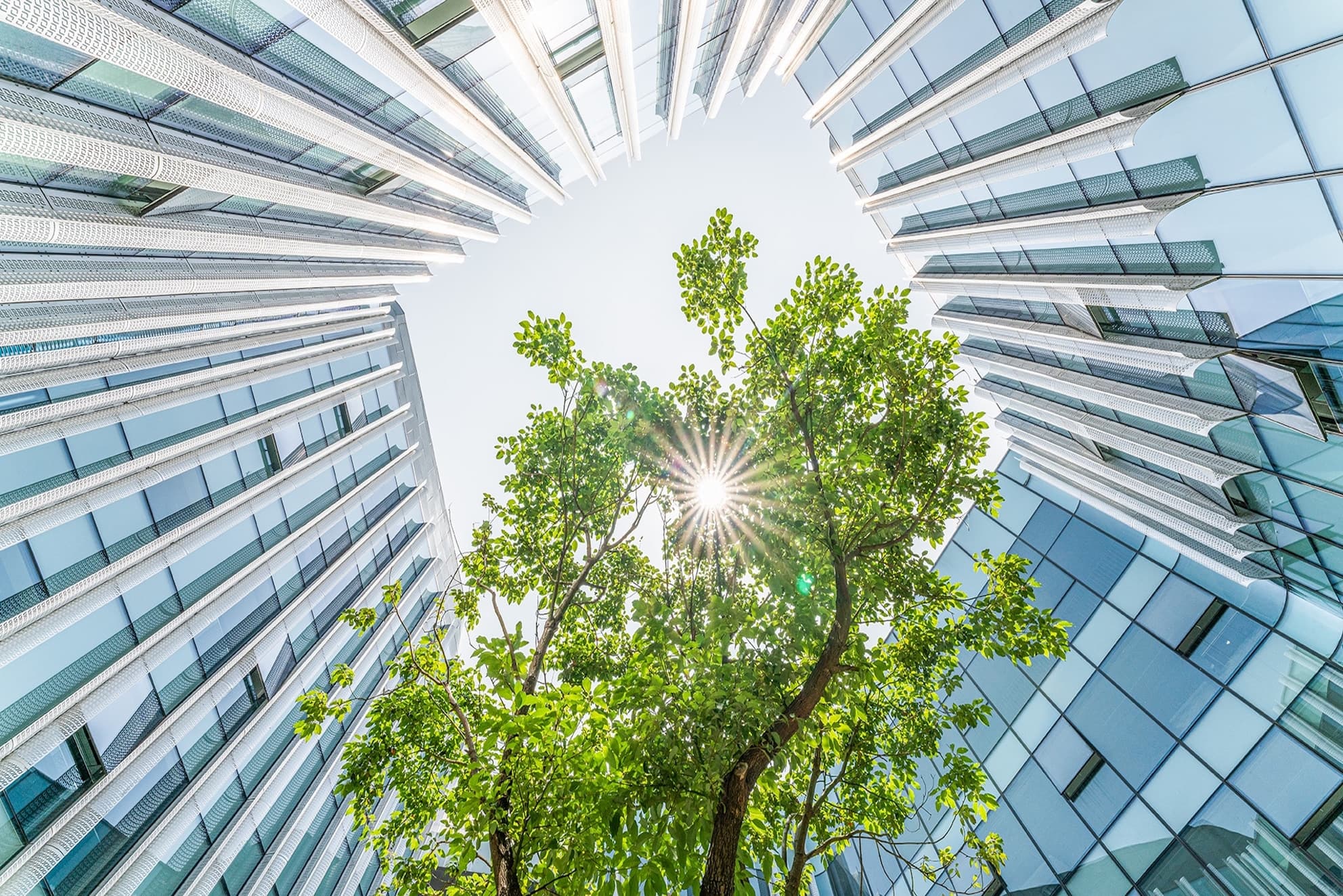 The rise of sustainability reporting and ESG investing