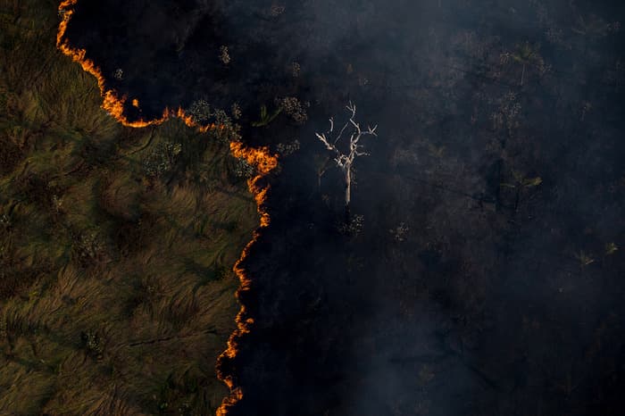 20% of the Amazon rainforest has already been destroyed through man-made fires and deforestation. Photo: Wikimedia Commons