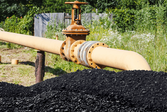 CIL has partnered with Bharat Heavy Electricals Ltd (BHEL) to establish Bharat Coal Gasification and Chemicals (BCGCL).