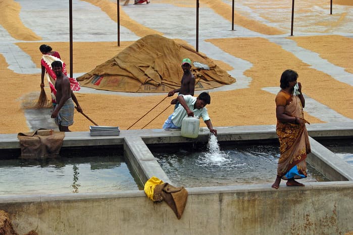 How farm subsidies are draining India’s groundwater reserves