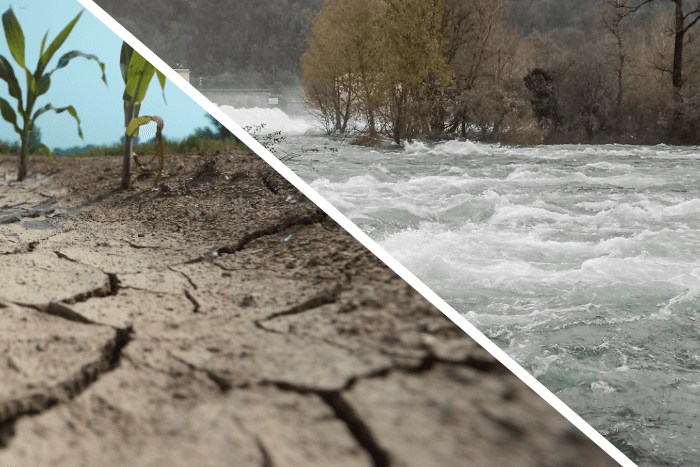 Till July 30, 36% of India’s districts — 267 of 742 — have received deficient or ‘large deficient’ rains.