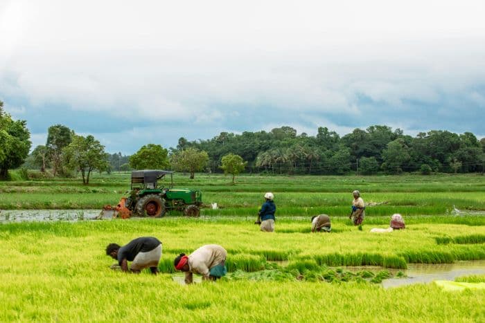 Helping Farmers Adapt to Climate Costs Less Than Farm Subsidies: Report