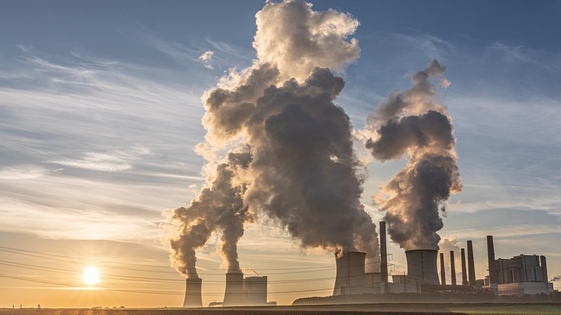 Consumption of imported coal at power plants fell by 20%, while gas imports fell by 6% and net oil imports were flat year-on-year