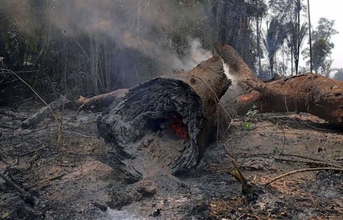 Climate legislation needs to be backed by effective implementation, according to the study. Countries such as Brazil have extensive rules when it comes to deforestation, but their implementation remains poor, the study states | Photo: ABC News