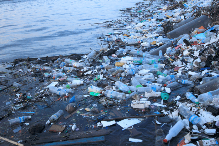 According to the report, the plastics industry, oil and petrochemical exporters, including Russia and Saudi, want the global deal to back recycling and re-use of plastic.