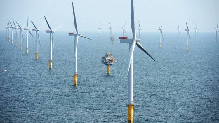 Photo: Financial Tribune