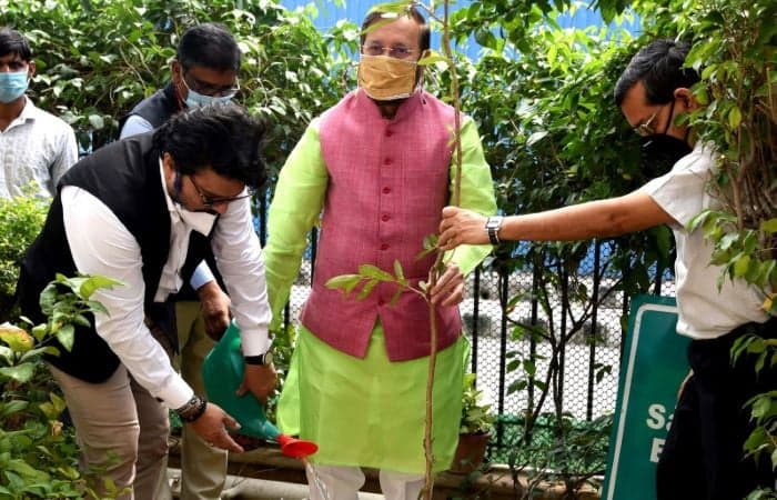 Shades of green: Environment Minister Prakash Javadekar has encouraged farmers to grow plantations which add to India’s afforestation efforts while swathes of natural forests are diverted for development projects | Photo: Delhi Greens