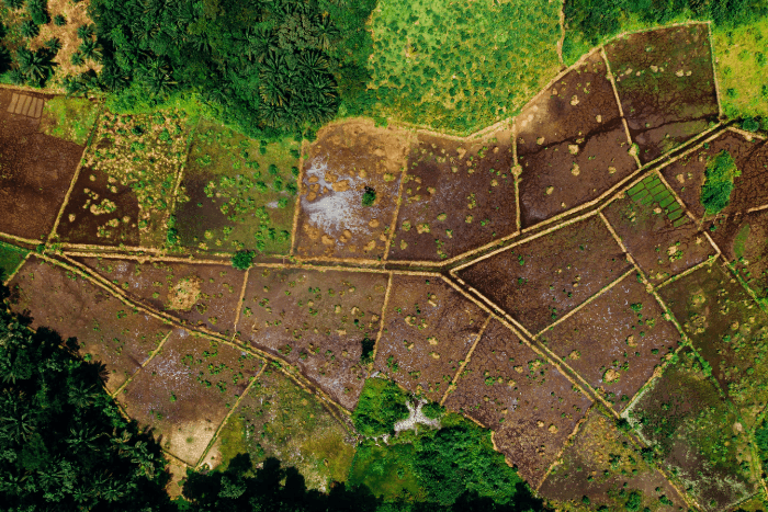 Climate campaigners see this agreement on policies to challenge carbon credit projects before and after they are implemented as a historic moment.