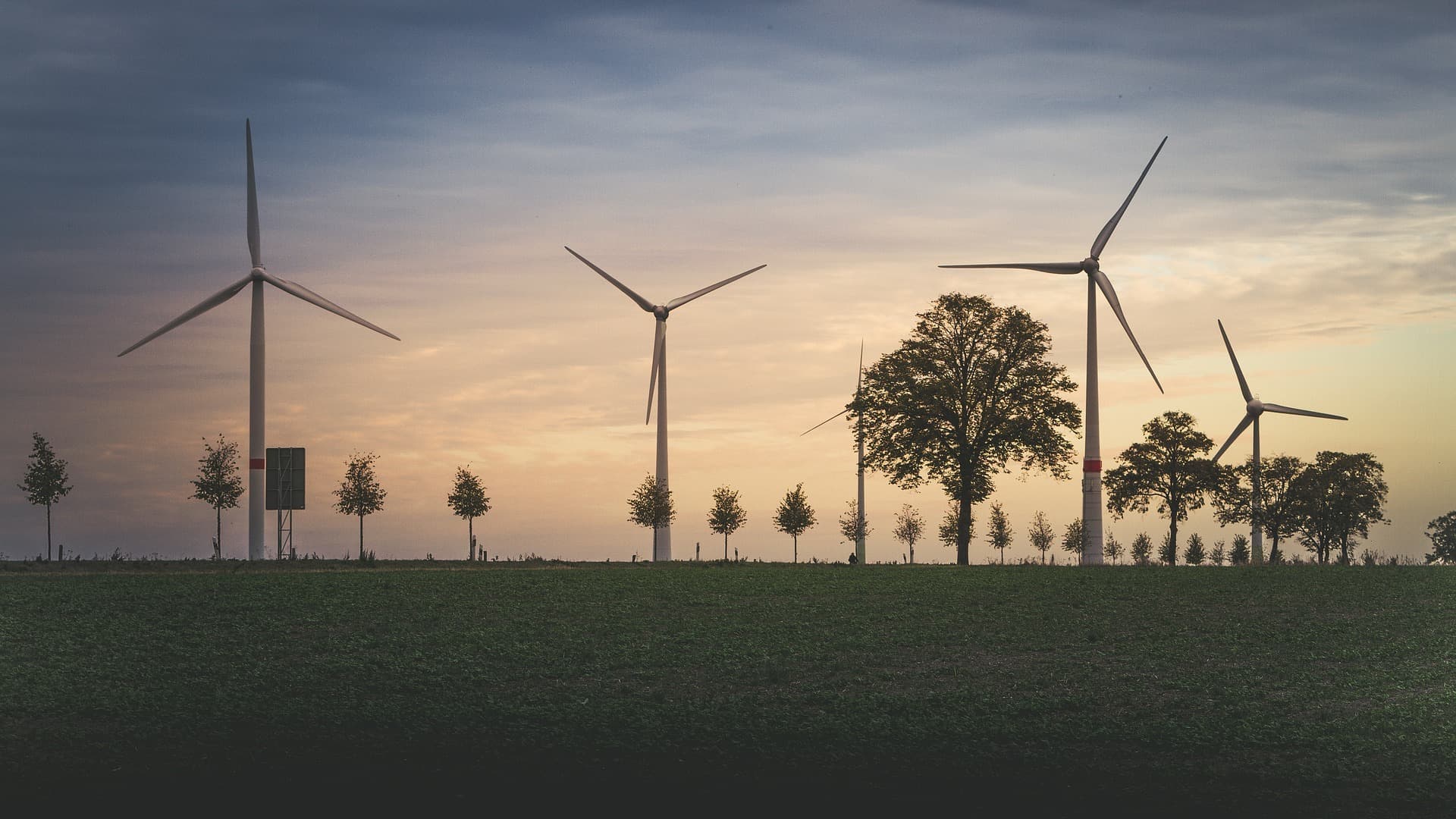 The negative effects of CDR removal vary on the removal and storage methods used as well as the location and scale of the deployment.