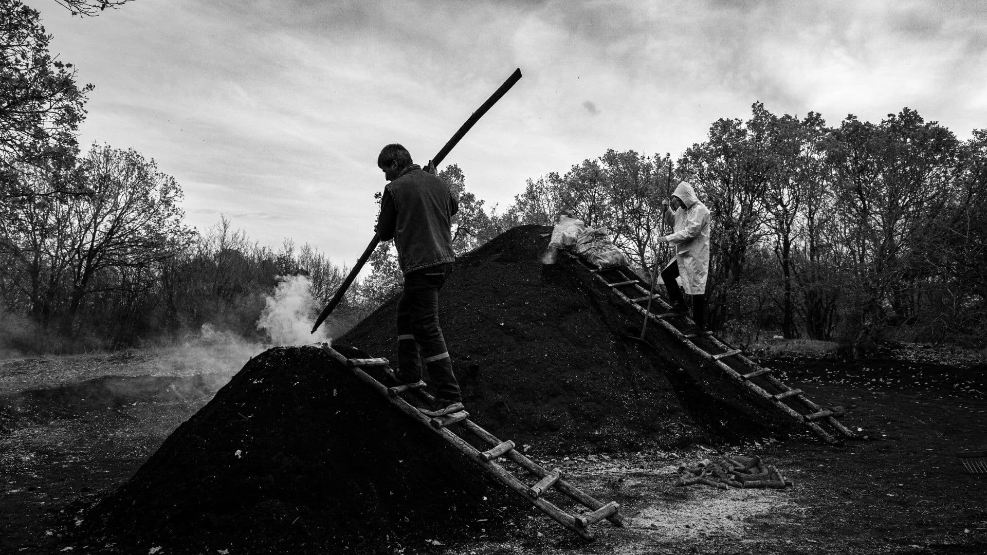  India Has Potential to Build $45 Billion Biochar Carbon Removal Market by 2030: Report