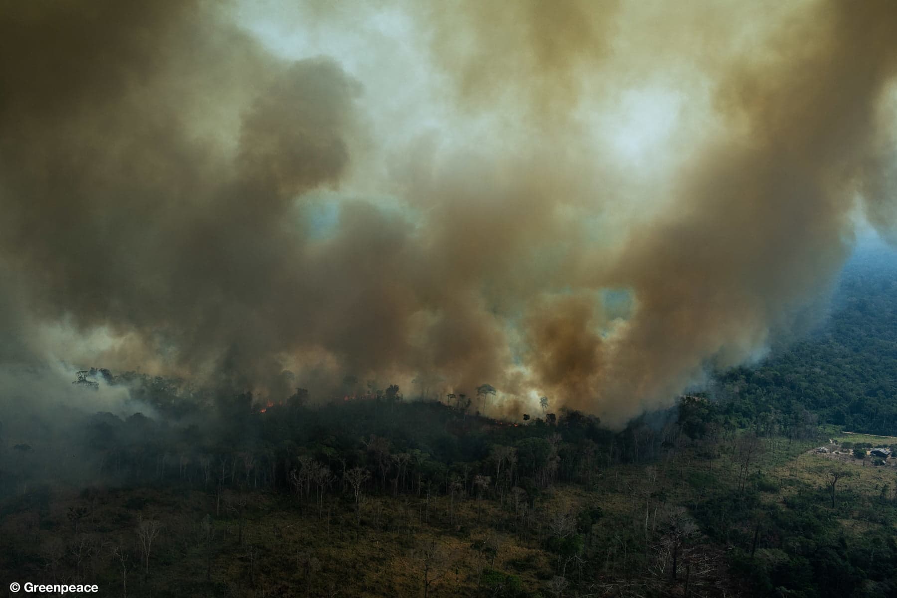 Up in smoke: Agricultural interests emboldened by President Jair Bolsonaro’s anti-environment stances are suspected to be behind hundreds of fires that blazed across the Brazilian Amazon | Photo: Greenpeace