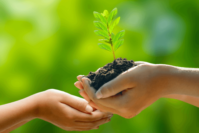 The Karnataka government has denied approving the handing over of 401.57 hectares of forest land in Ballari to Kudremukh Iron Ore Company Limited (KIOCL) for mining purposes.