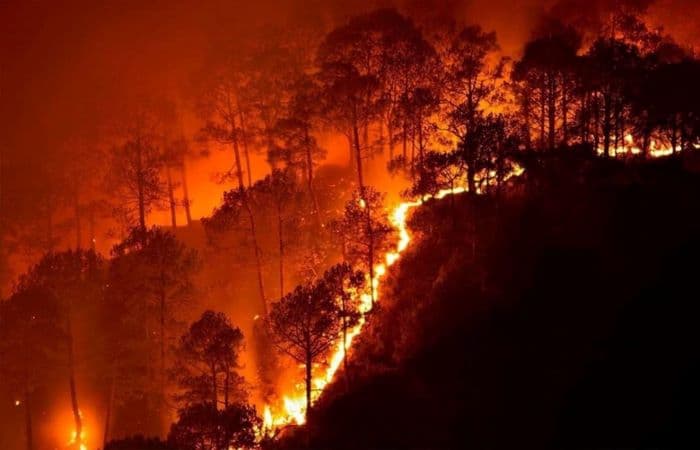Heat is on: Extreme heat and wildfires in the US, Australia and Siberia are likely to give 2020 another dubious distinction — the second hottest year on record. Photo: CalMatters