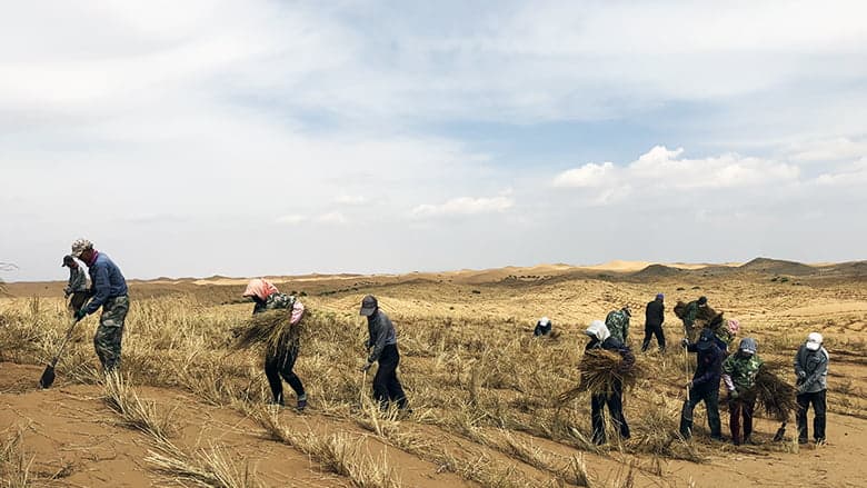 Explainer: ‘Desertification’ and how climate change is worsening it