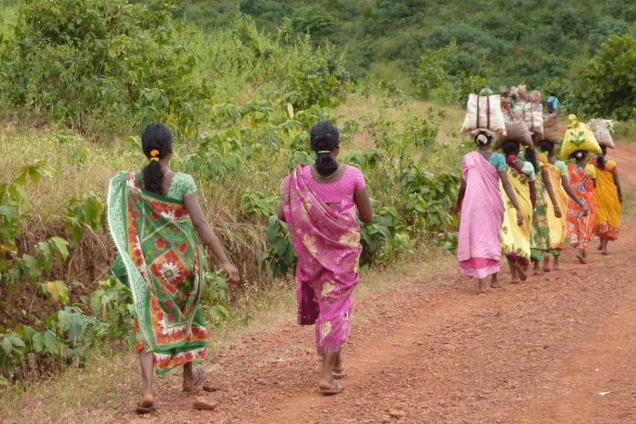 The letter to the Centre said of the 848 villages “257 villages with 25,007 families have already been relocated since the inception of the Project Tiger.