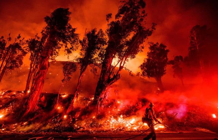 In a fire storm: 2020 earned the distinction of being the second hottest year on record as massive wildfires and prolonged heatwaves devastated large parts of the Australia, US and the Arctic | Photo Earthjustice. org