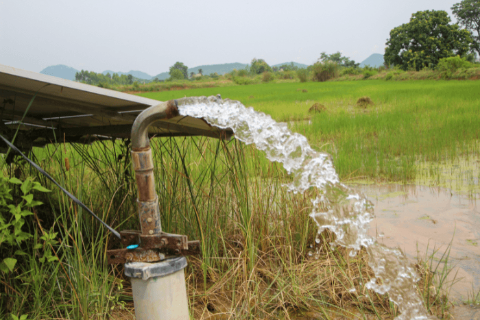 Pricing Energy for Groundwater: A Path to Sustainable Irrigation and Climate Resilience