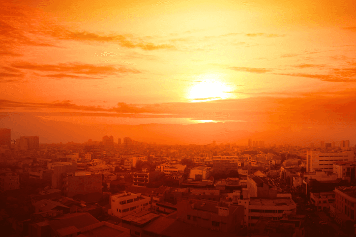 Uttar Pradesh reported 36 deaths followed by Bihar, Rajasthan and Odisha, according to the National Heat-Related Illness and Death Surveillance by the National Centre for Disease Control (NCDC).