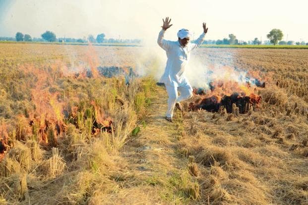 That time again: Delhi’s air quality could spiral downward again as crop residue
burning commences in surrounding areas, despite the practice being illegal | Photo:
Livemint