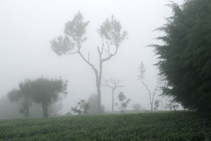 Very heavy rainfall continues in North India, Himachal, J&K and Uttarakhand worst hit