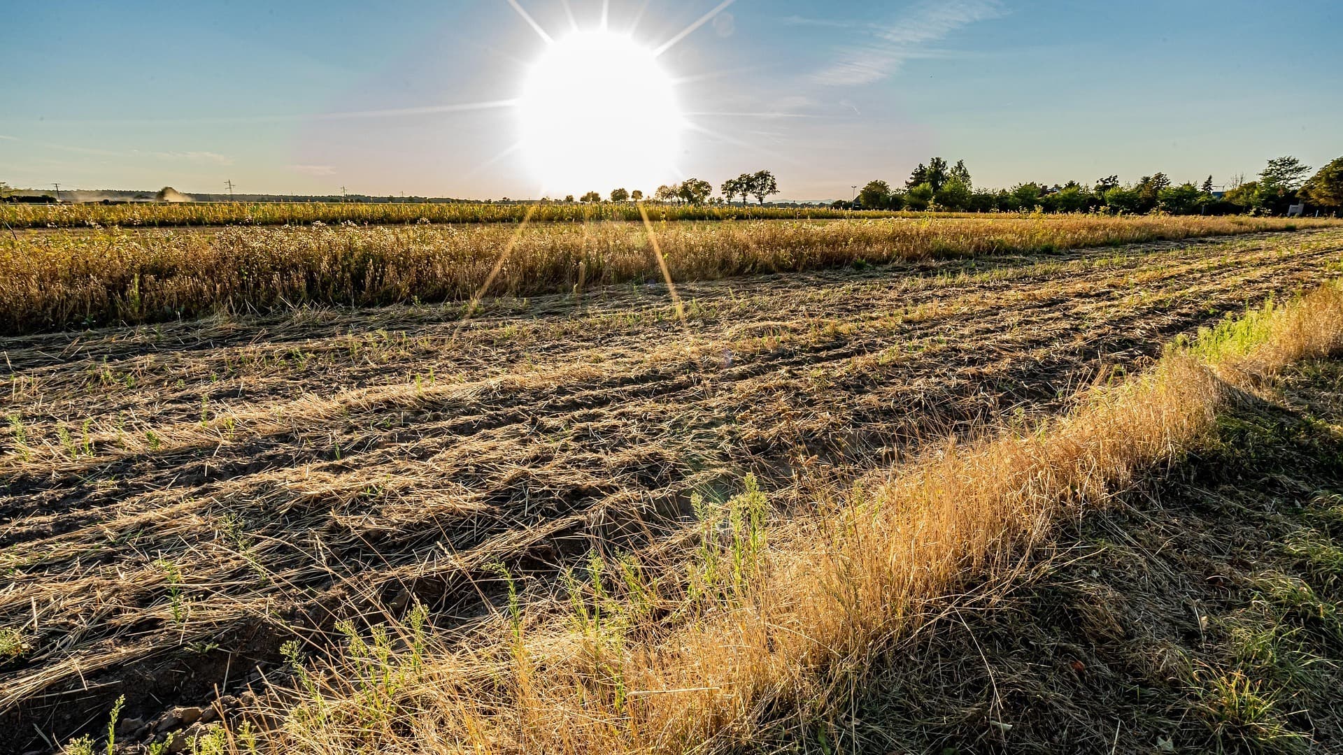Heat wave hits parts of India, temp crosses 40C, weather office warns of more heatwaves ahead 