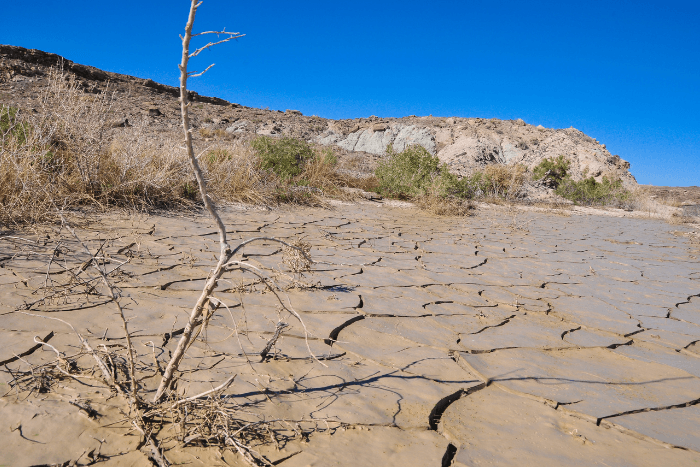 Globally, as of 2021, 2.3 billion people faced food insecurity, of which 924 million people faced severe food insecurity.