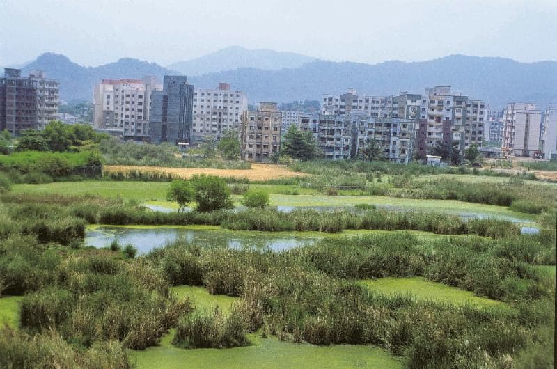 While no one was looking: India’s government reportedly drafted much laxer EIA rules behind the noise of elections to push through development projects | Image credit: DNAIndia