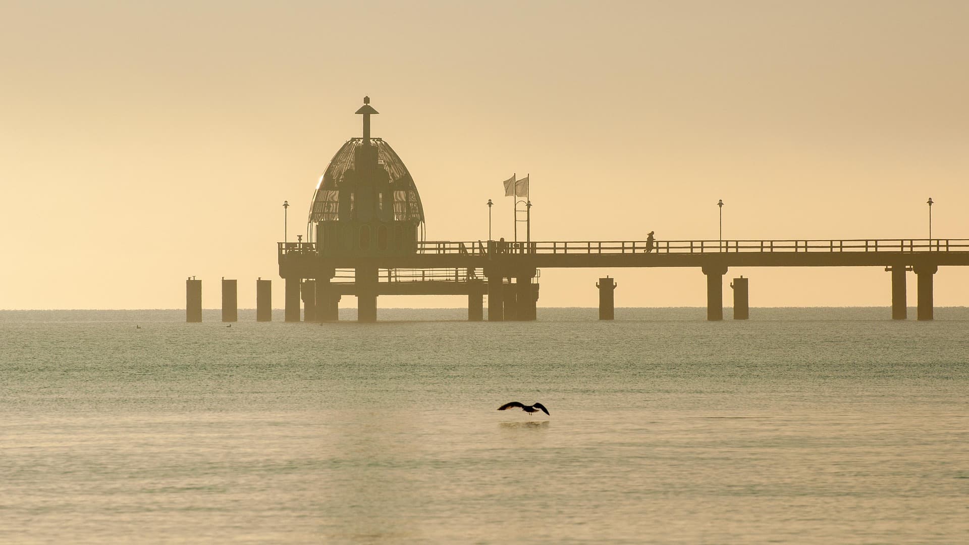 Historical increase in sea-surface temperatures have already triggered a decline in sea-breeze days for 67% of the 18 coastal megacities