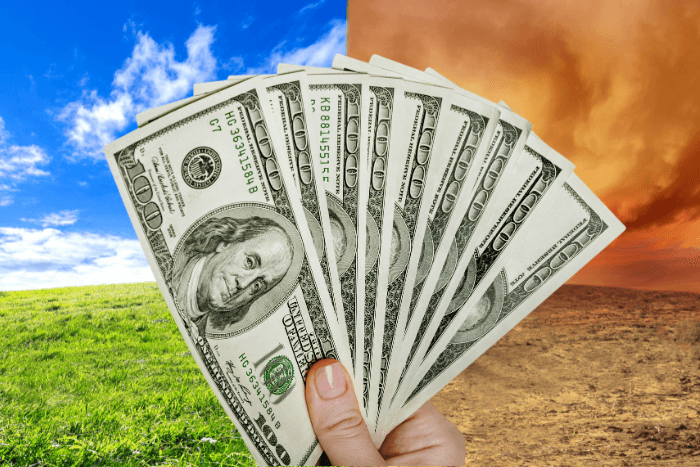 Developed countries provided and mobilised $115.9 billion in climate finance for developing countries in 2022, up from $89.6 billion in 2021.