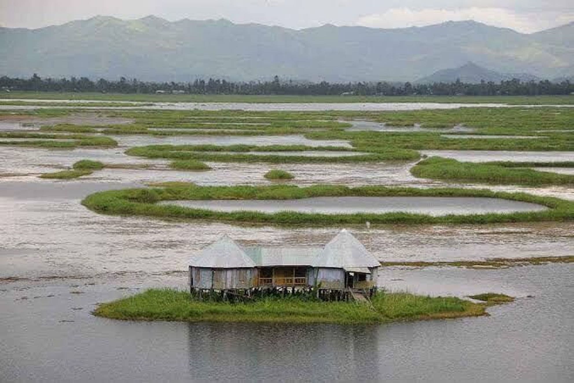 Under threat: The Manipur government was allegedly pushing for eco-tourism and inland-waterways mega-projects on Loktak lake. Photo: The Sentinel Assam