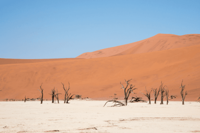 Hyper-arid and arid regions—which are defined by high degrees of dryness, high temperatures, and little rainfall—have the largest migration responses, the study said.