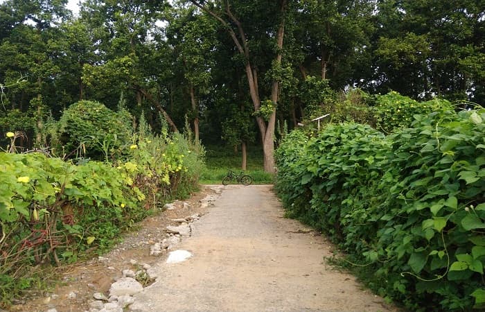 Only 18% of COVID recovery spending by 50 major economies was ‘green’ in 2020: Report