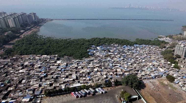 Monumental disregard? Indian government ignores suggestions en masse and moves ahead with law to governing 7,500-km coastline | Photo: The Indian Express
