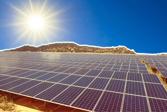 Chasing the sun: Unlikely firms are betting big on solar