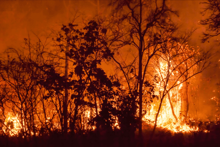 CO2 levels are 50 % higher than the pre-industrial era, trapping heat in the atmosphere.