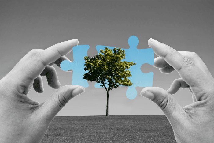 The report reveals that nature-negative expenditures far outweigh investments in nature-based solutions.