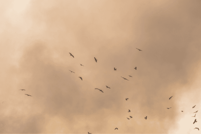 Byrnihat is also representative of India’s under-studied and under-attended air pollution problem in cities beyond Delhi.