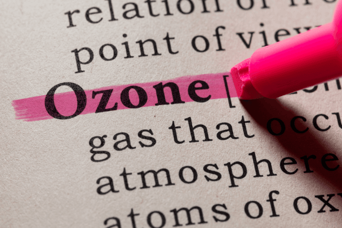 The authorities have asked Haryana and UP to tap their monitoring stations in Gurugram, Faridabad, Noida and Ghaziabad, and identify vulnerable ones as the ozone levels are predicted to rise further with soaring temperatures.