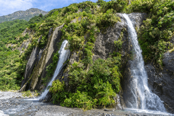 As a result of lower natural climate variability, many tropical forest species have narrow realised climate niches and are not pre-adapted to warmer conditions.
