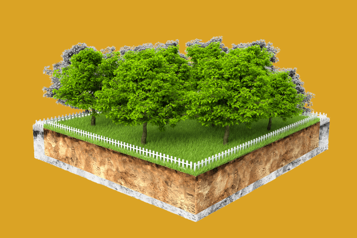 Under the guise of ‘nature-based solutions’, business-as-usual investments and top-down conservation schemes are being advanced.