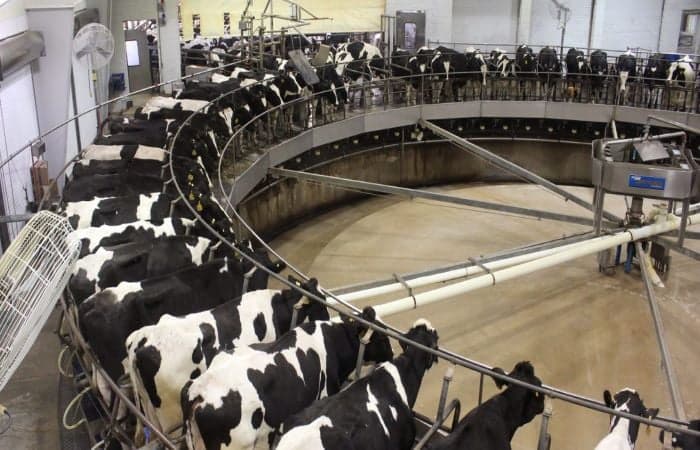 Photo: thebigraise.fr