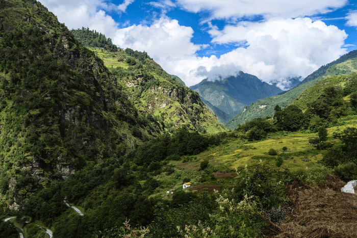 The Apex court has issued an interim order to go back to its 1996 ruling to identify forests in the country.