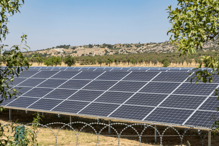 Better safe: To prevent disruptions, the International Solar Alliance (ISA) led by India and France and followed by 110 member countries, wants the supply chain to be diverse.