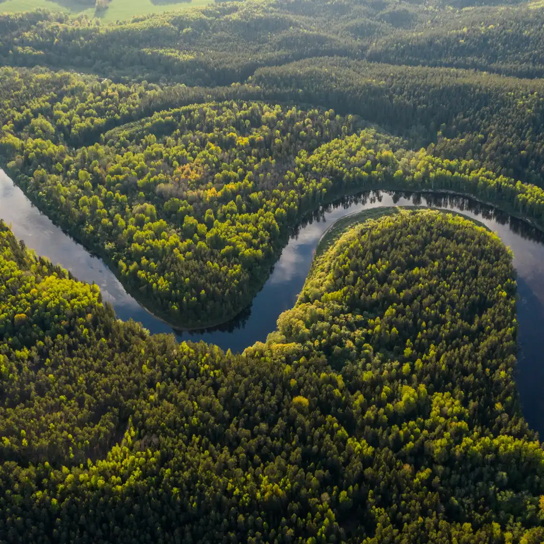 Today at hashtag#COP30, CarbonCopy is partnering with YOUNGO, Indian Youth Climate Network and The Climate Reality Project for a session on what a just transition really looks like on the ground.

From agroecology and indigenous farming to fair forest finance - young people are proving that climate action can be local, practical, and equitable.

🗓️ 12 Nov | 4:45–6:15 PM (GMT-3)
📍 Side Event Room 7, Belém, Brazil