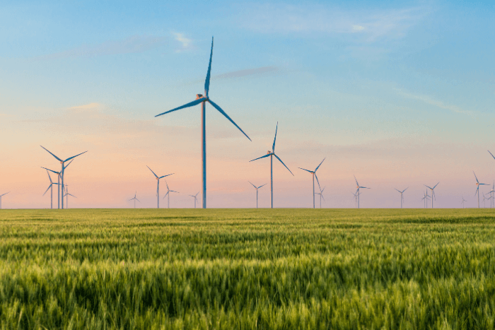 Karnataka HC says Centre’s directions on green energy open access not mandatory, strikes down rules