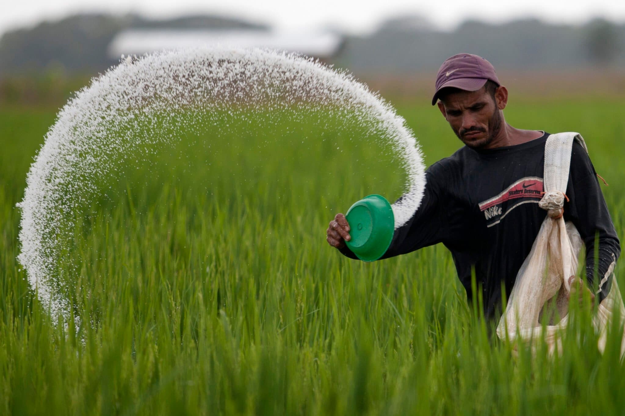 Creeping headache: An exhaustive study on N2O pollution has attributed steep increases in emissions over the last five decades to fertiliser use in agriculture | Photo: Reuters
