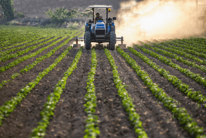 Agricultural production accounted for 74% of human-driven nitrous oxide emissions in the 2010s – attributed primarily to the use of commercial fertilisers and animal waste on croplands.